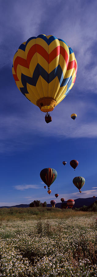 Nature Photograph - Hot Air Balloons Rising, Hot Air #1 by Panoramic Images