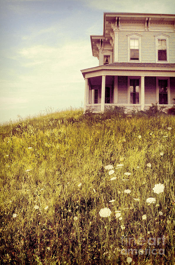 House in a Field #2 Photograph by Jill Battaglia