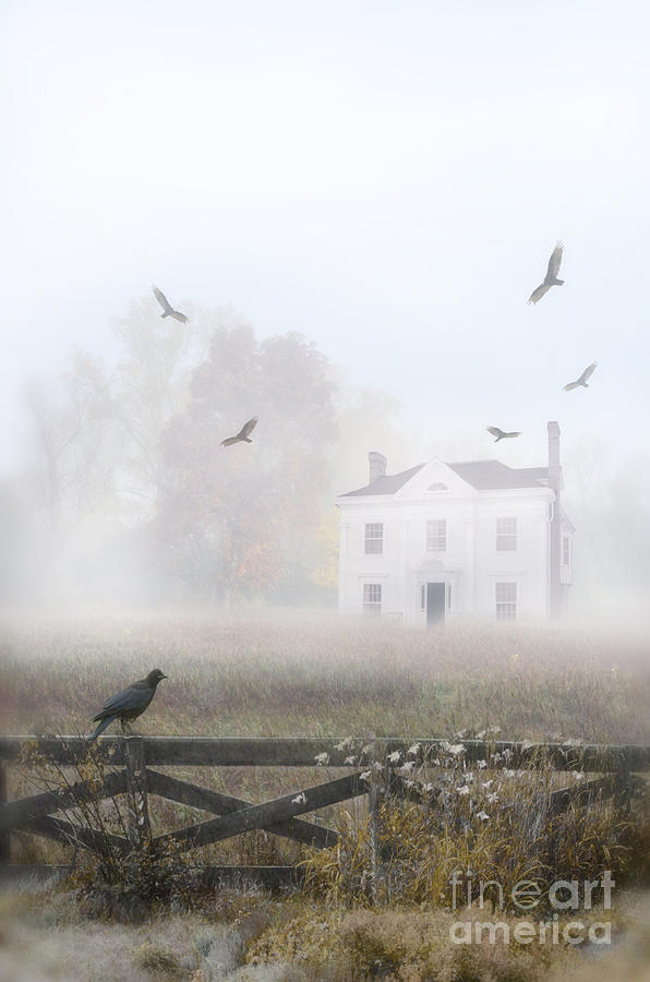 Bird Photograph - House in Fog #1 by Jill Battaglia