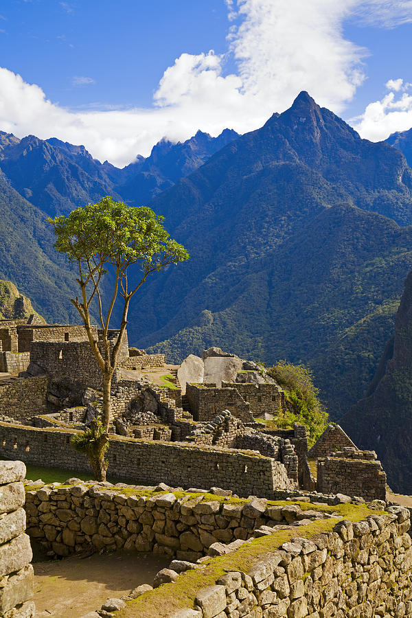 Houses of Machu Picchu #1 Photograph by Alexey Stiop