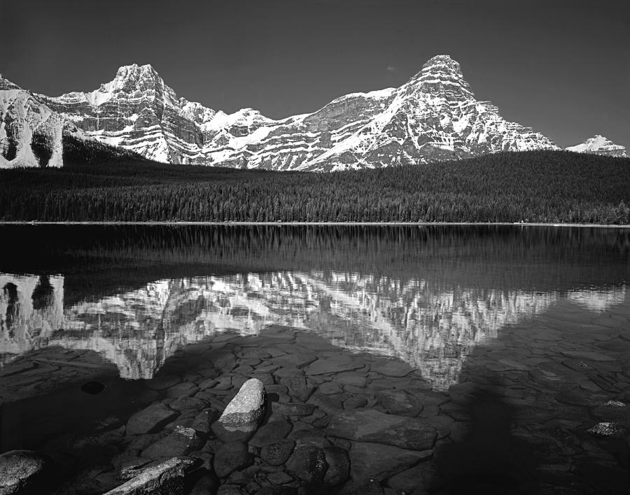 1M3643-BW-Howse Peak Mt. Chephren Reflect  Photograph by Ed  Cooper Photography