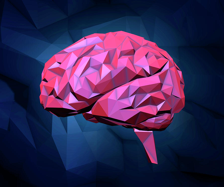 Human Brain #1 by Andrzej Wojcicki