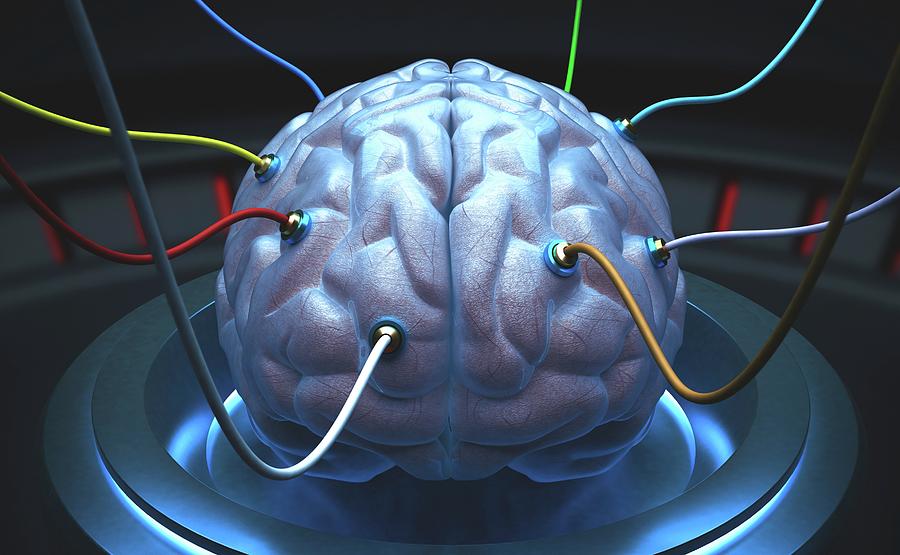 Human Brain With Sensors #1 Photograph by Ktsdesign