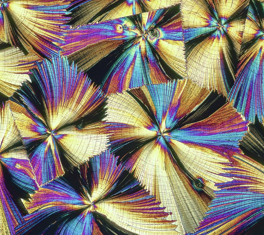Human Growth Hormone Crystals #1 Photograph by Alfred Pasieka
