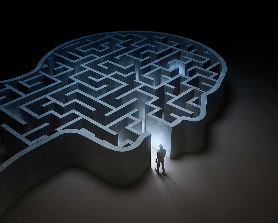 Human Head In Shape Of Maze Photograph by Andrzej Wojcicki/science ...