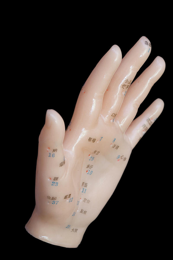 Human Model Showing Acupuncture Points Photograph By Science Stock 