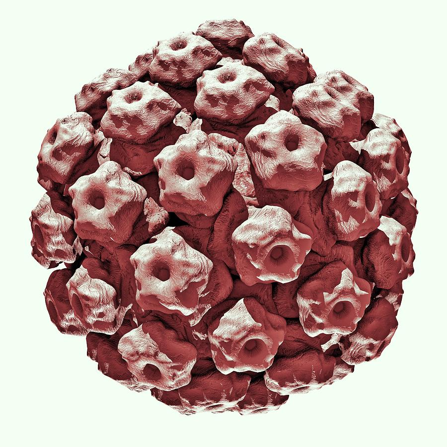 Human Papilloma Virus Particle #1 Photograph by Russell Kightley