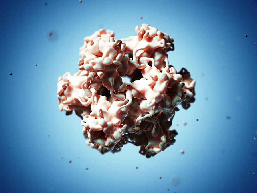 Human Papilloma Virus Photograph By Scieproscience Photo Library