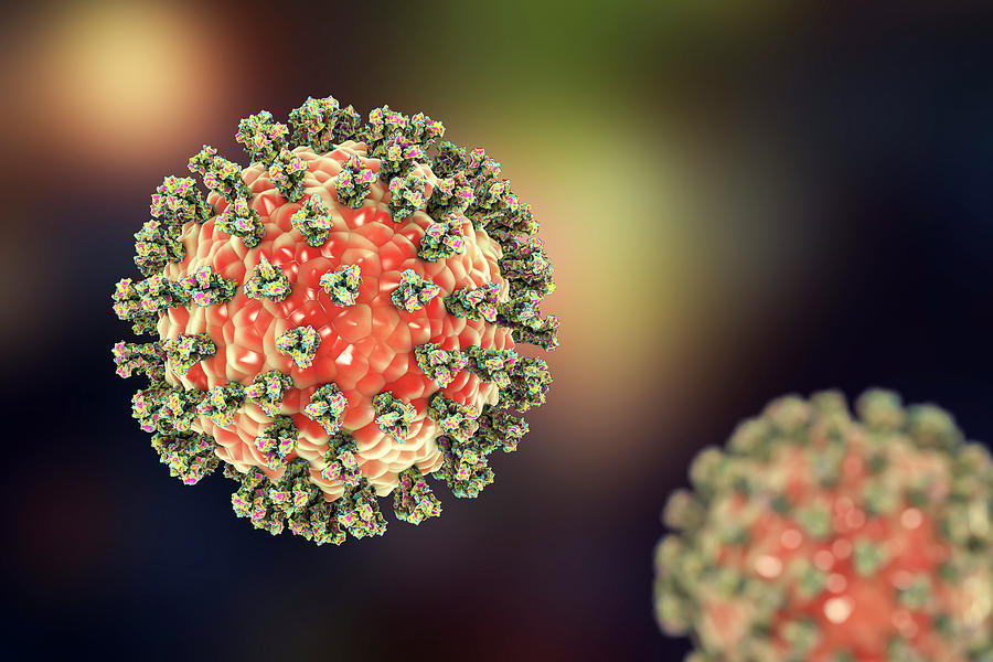 Human Parainfluenza Virus Photograph By Kateryna Kon Science Photo