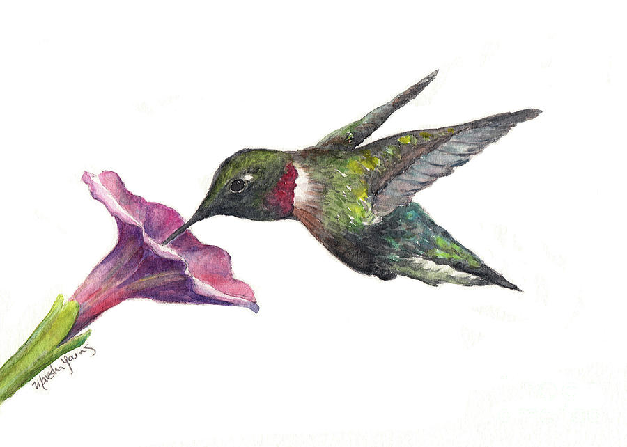 Hummingbird Painting - Hummer IV by Marsha Young