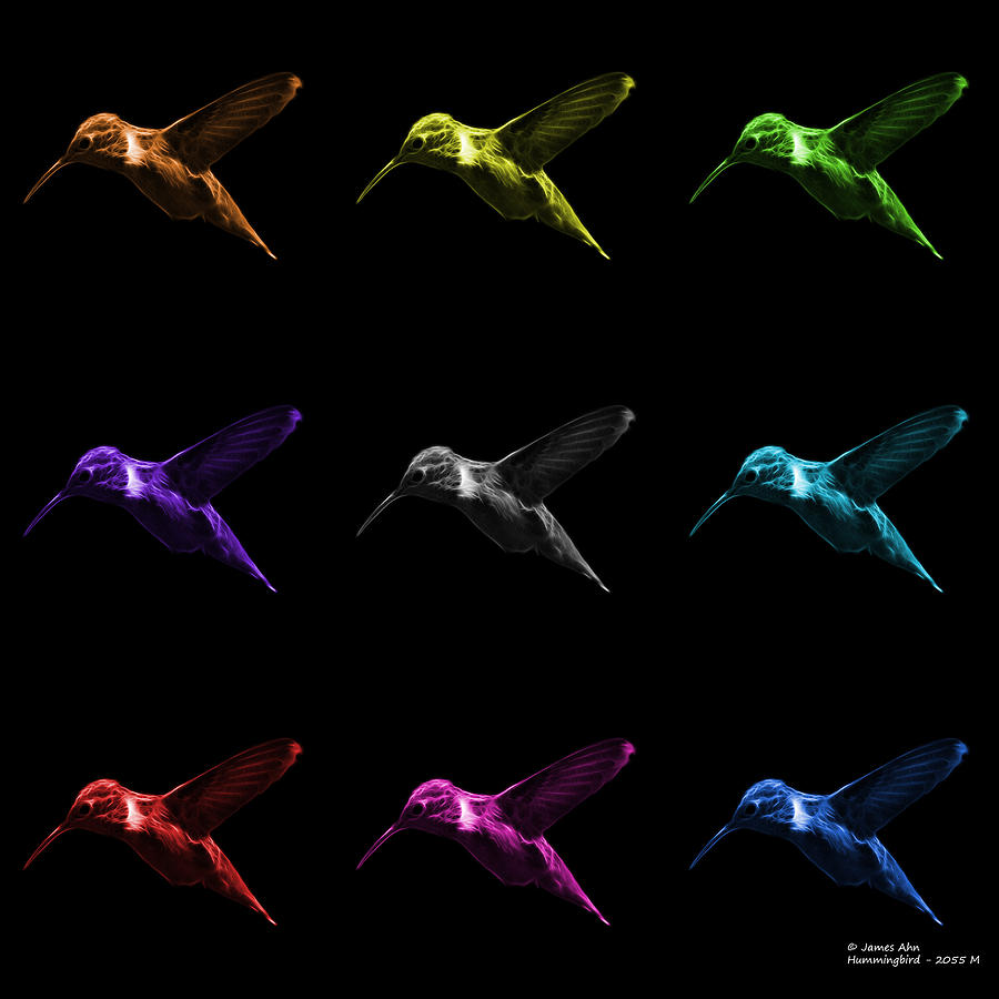 Hummingbird - 2054 F M - BB Digital Art by James Ahn