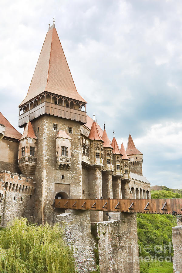 Huniazi Castle Photograph By Gabriela Insuratelu - Fine Art America