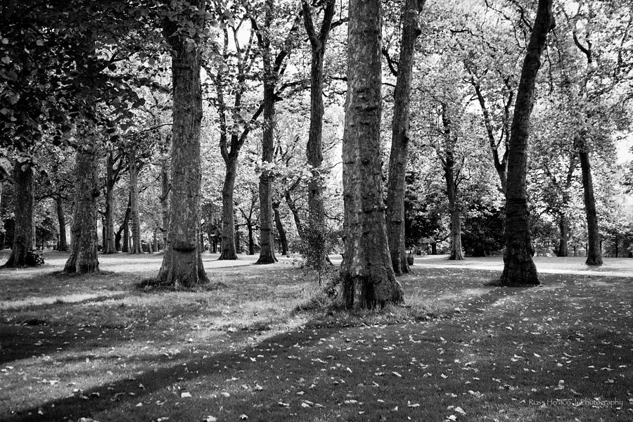Hyde Park #1 Photograph by Ross Henton
