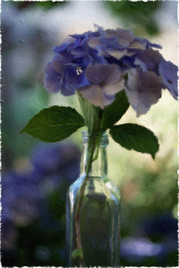 Hydrangea Bouquet #1 Photograph by Bonnie Bruno