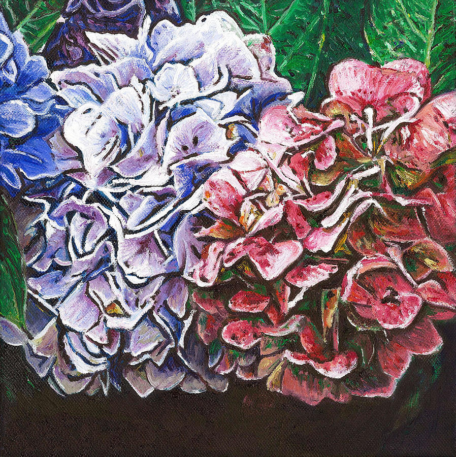 Hydrangeas Painting by Helen White