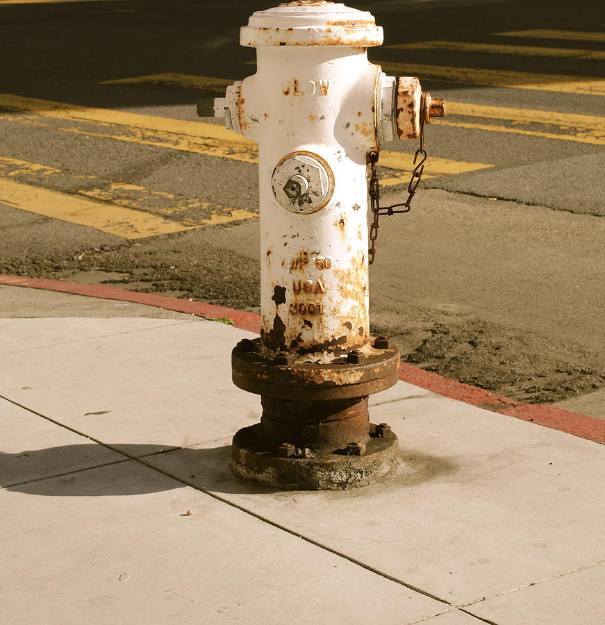 Hydrant Photograph by Molly Costa - Pixels