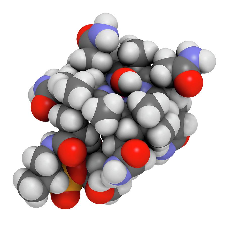 Hydroxocobalamin Vitamin B12 Molecule #1 Photograph by Science Photo Library Hydroxocobalamin Vitamin B12 Molecule #1 Photograph by Science Photo Library