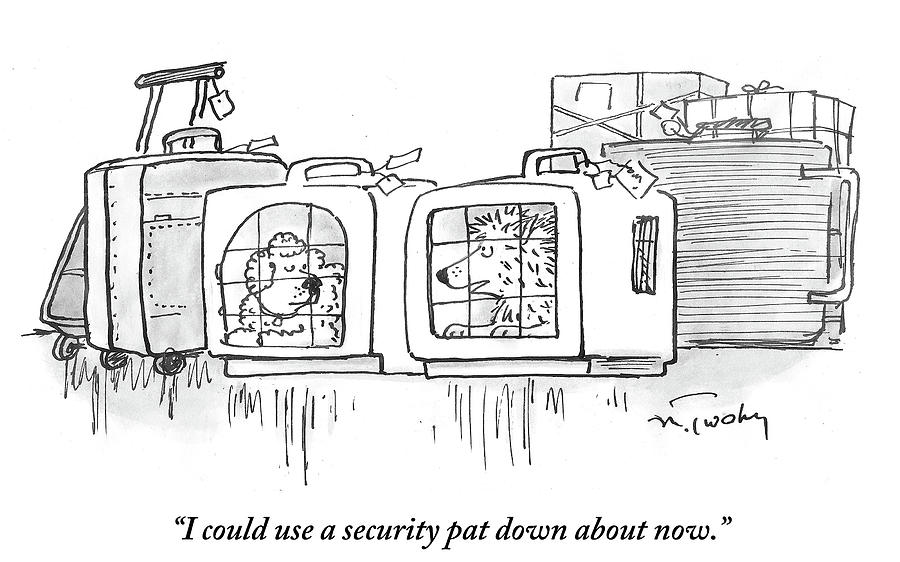 I Could Use A Security Pat Down About Now Drawing by Mike Twohy