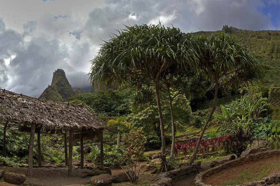Iao Valley #1 Photograph by James Roemmling