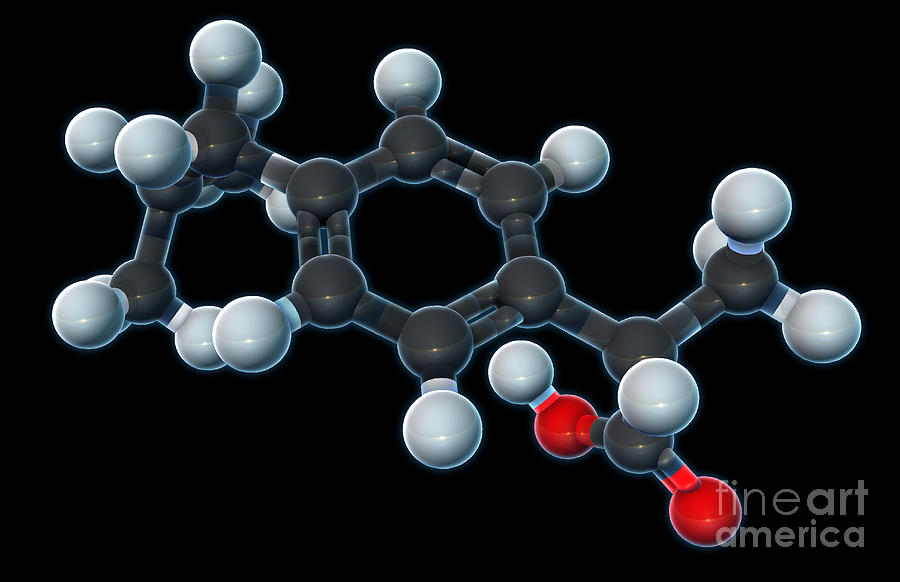 Ibuprofen, Molecular Model #1 Photograph by Evan Oto