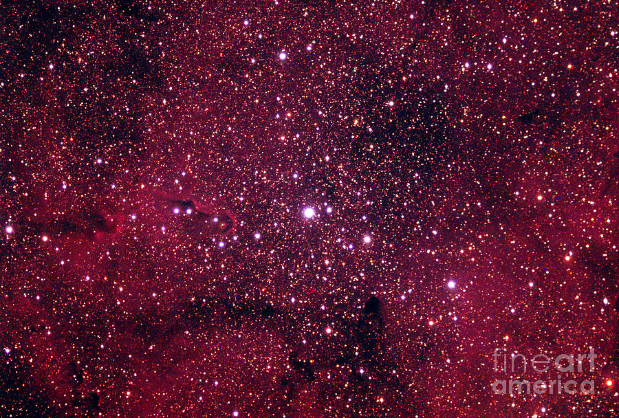 Ic1396 Cepheus Elelphant Trunk Nebula #1 Photograph by John Chumack