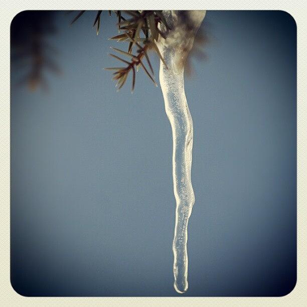 Nature Photograph - Ice #1 by Emanuela Carratoni