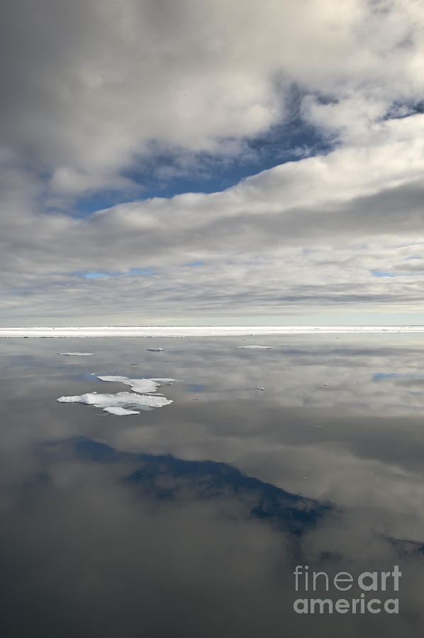 Ice Floes #1 Photograph by John Shaw