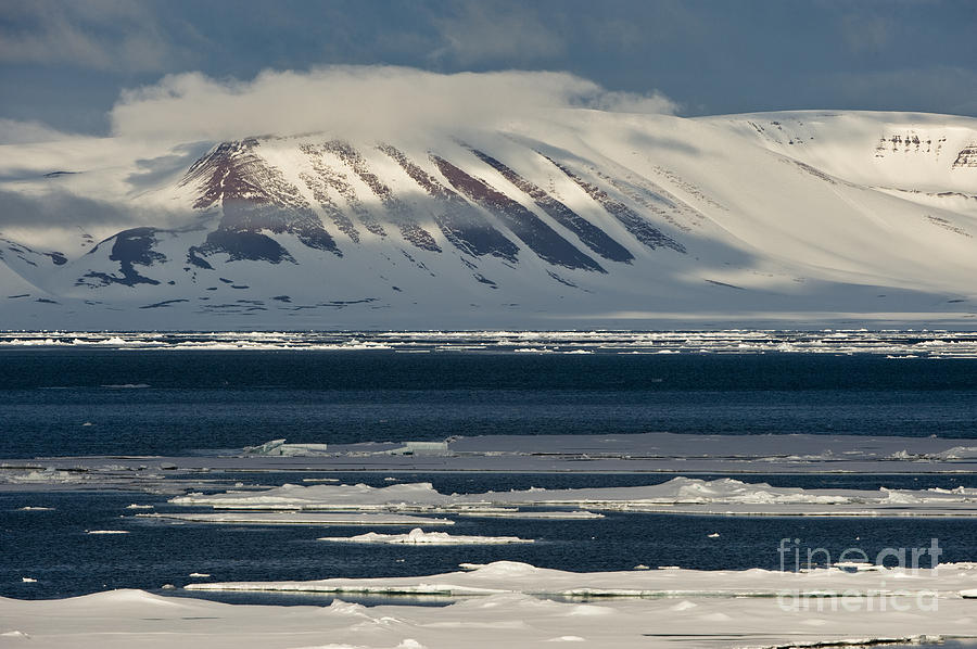 Ice Floes, Spitsbergen #1 Photograph by John Shaw