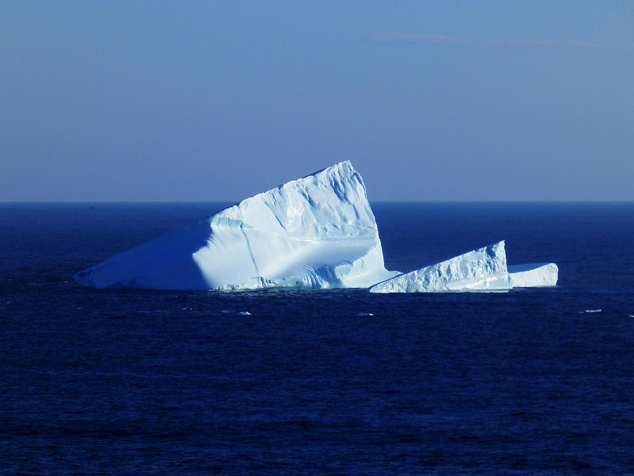 Iceberg At Cape Spear #1 Photograph by Zinvolle Art