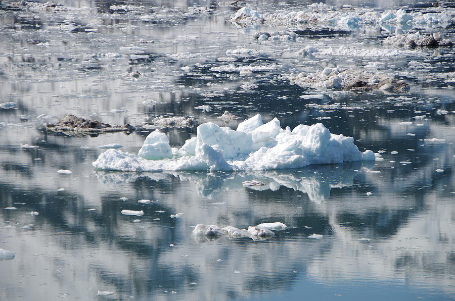 Iceberg in Glacier Bay Alaska Photograph by Marilyn Wilson