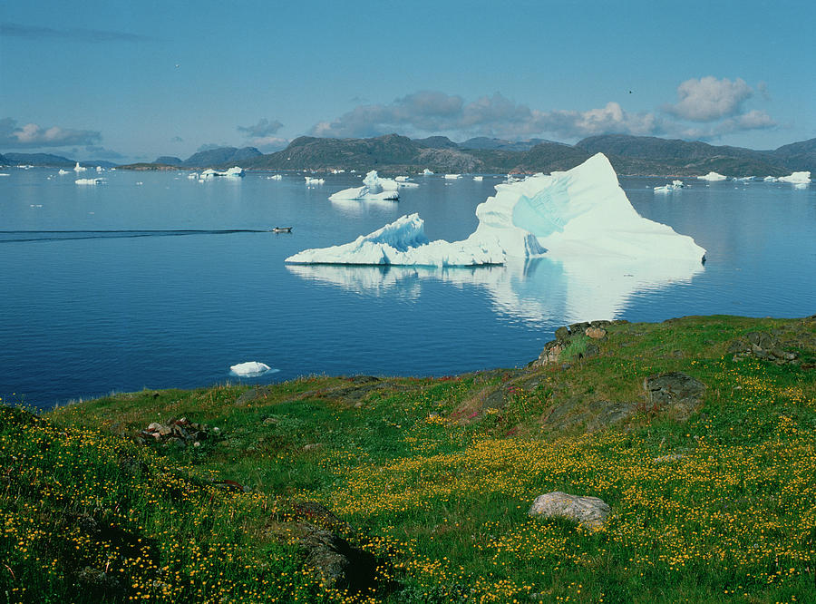 Icebergs In A Fjord In Southern Greenland #1 Photograph by Simon Fraser/science Photo Library