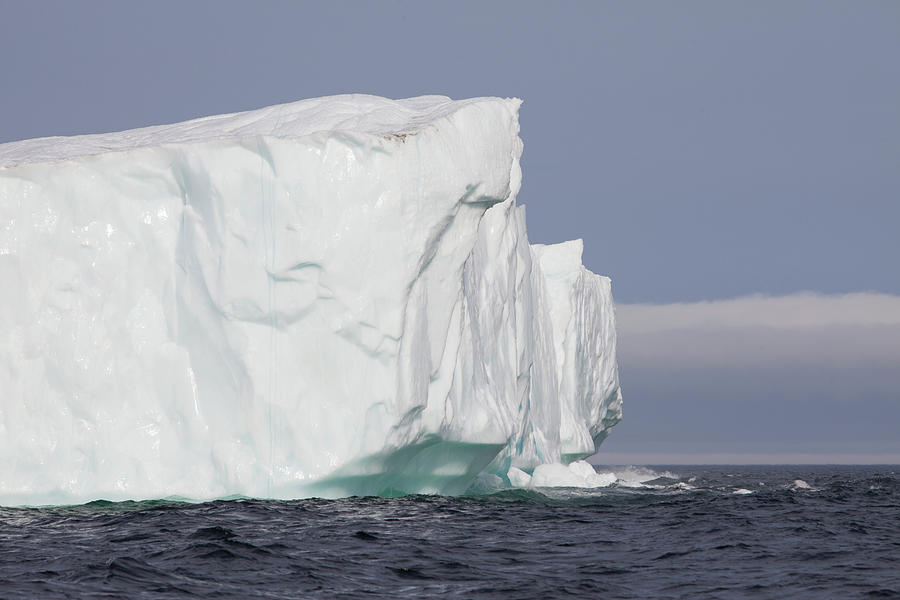 Icebergs, Kings Cove, Newfoundland Photograph By Greg Johnston 