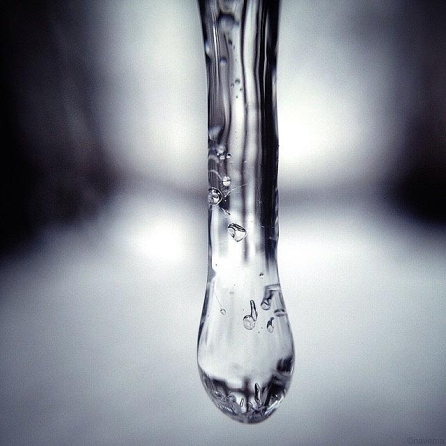 Icicles Photograph - Icedrop #1 by Natasha Marco