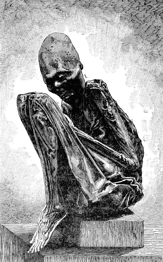 Ichma Sitting Mummy, Pre-incan #1 Photograph by British Library