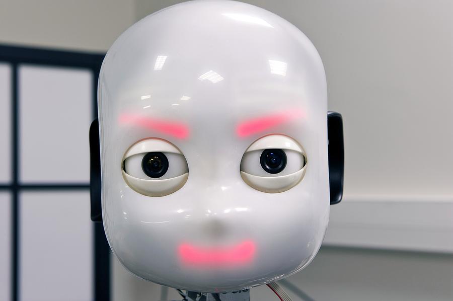 Robot: iCub