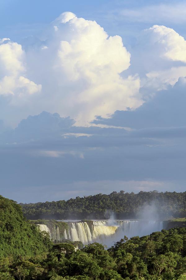 Iguazu Falls #1 Photograph by Alfred Pasieka