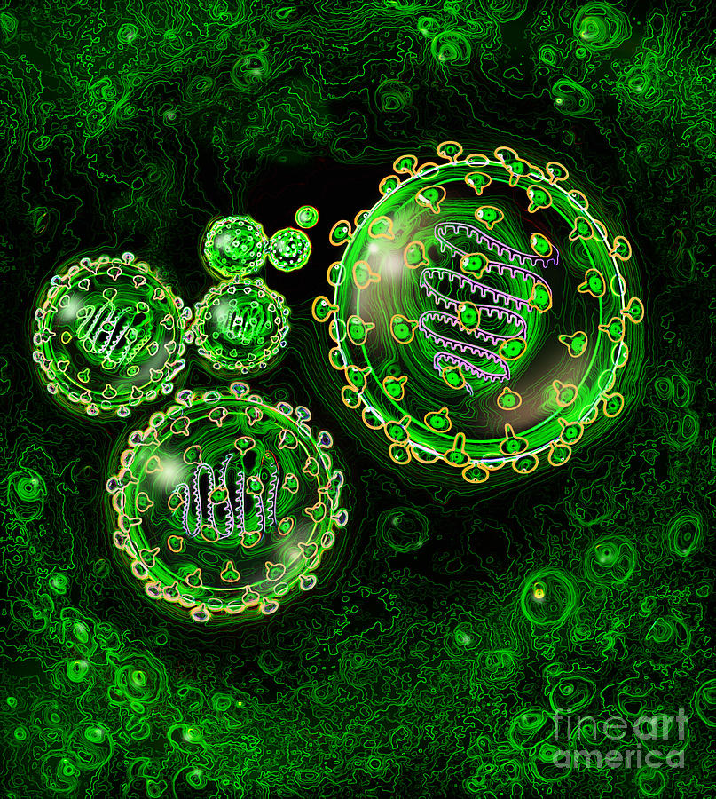 Illustration Of Sars Virus #2 Photograph by Jim Dowdalls