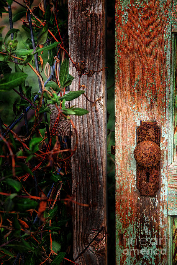 The Garden Door Photograph by Jim Garrison