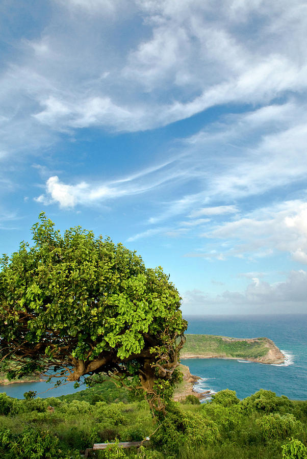 Indian Creek Point, Antigua, West Photograph by Nico Tondini | Fine Art ...