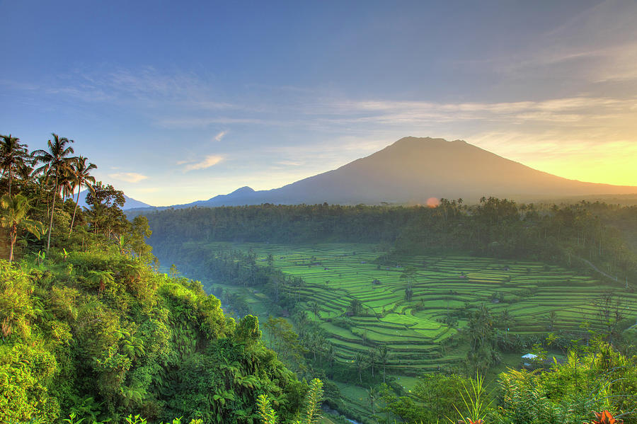 Indonesia, Bali, Rice Fields And Agung #1 by Michele Falzone