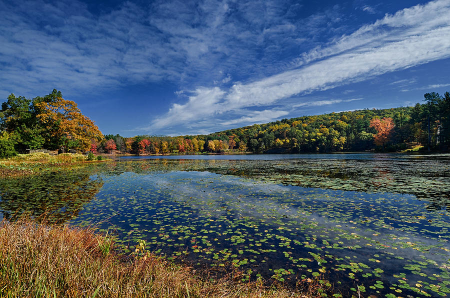 Innisfree Garden Photograph by Dunn Ellen | Fine Art America