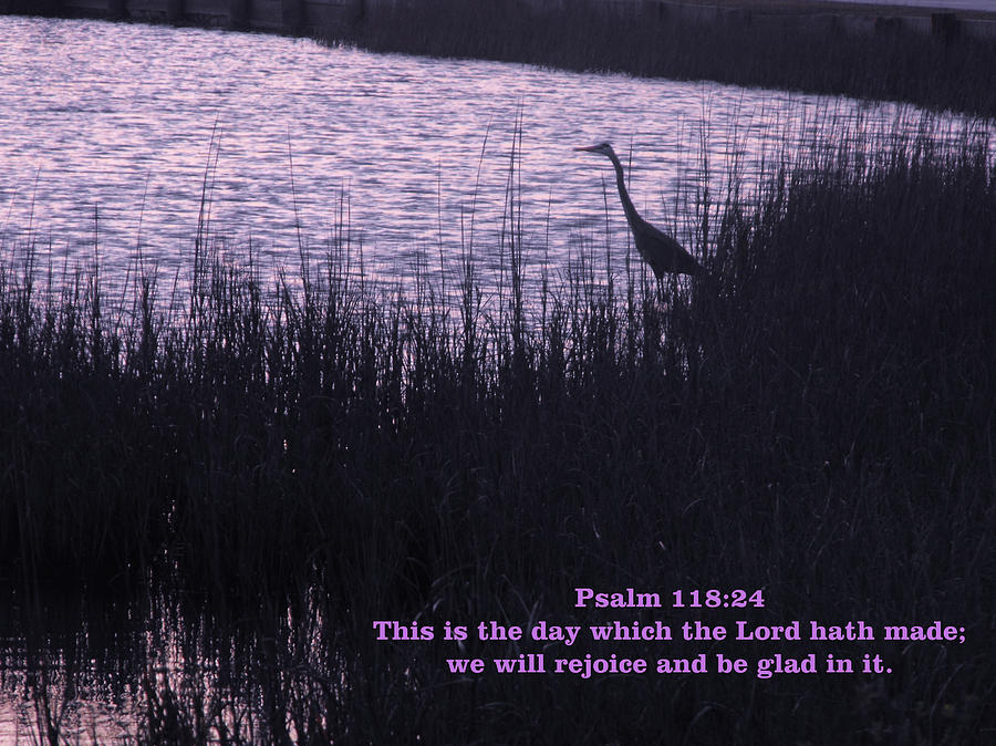 Inspirational Photograph - Psalm 118.24 #1 by Nelson Skinner