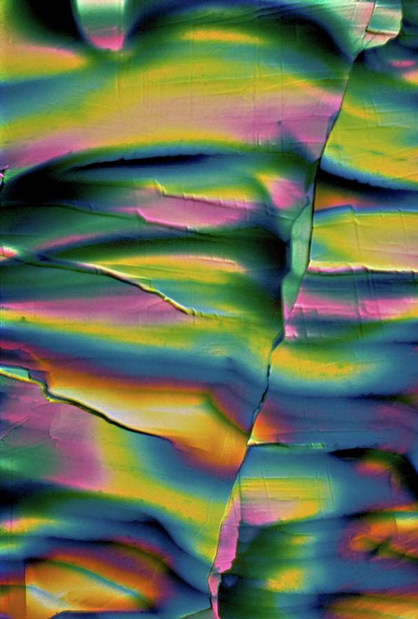 Insulin Crystals #1 Photograph by Dennis Kunkel Microscopy/science Photo Library