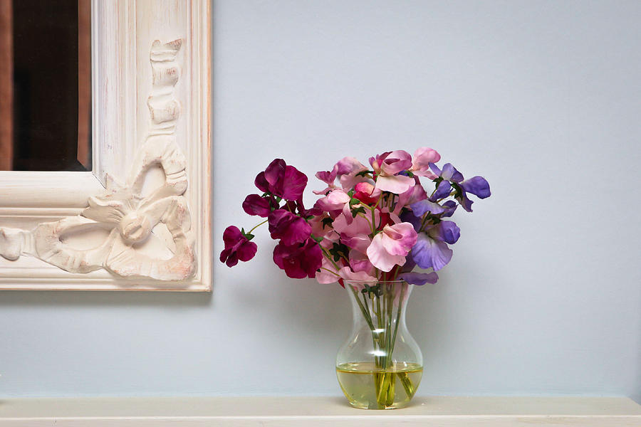 Flower Photograph - Interior Decor #1 by Tom Gowanlock