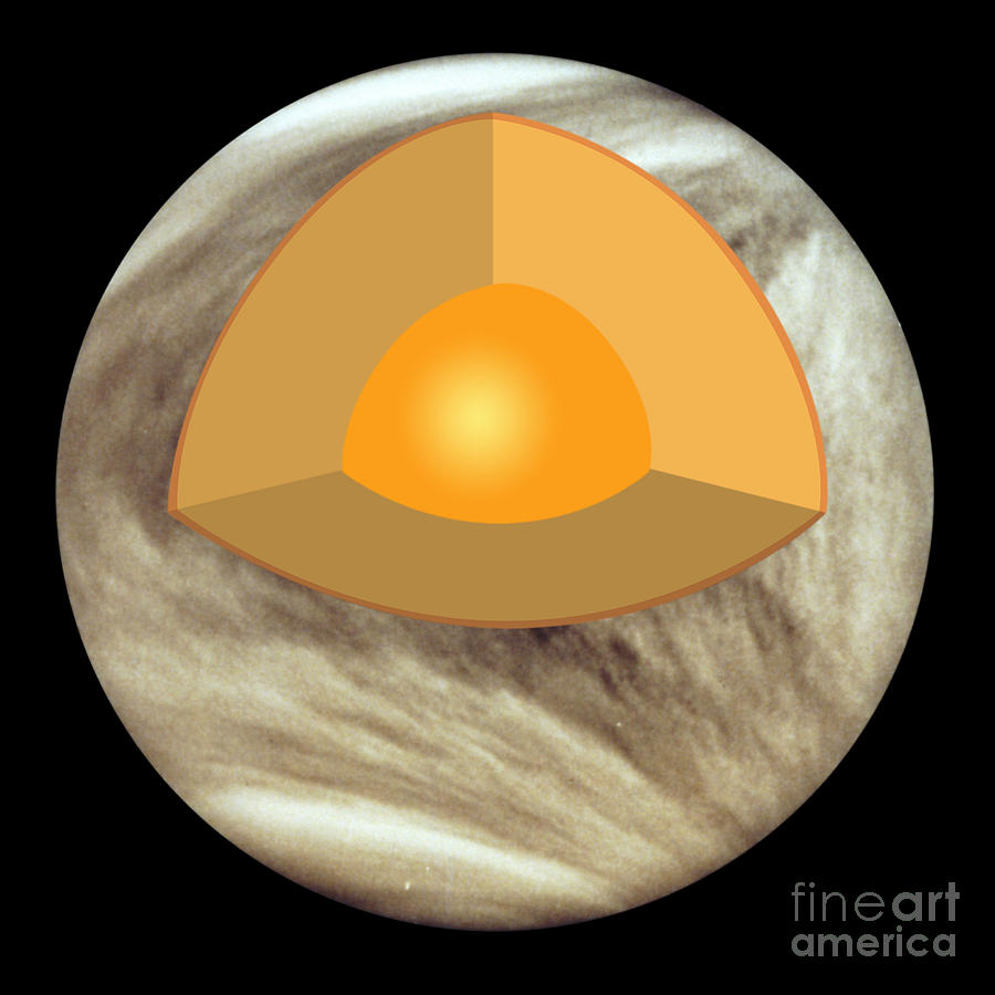 Interior Of Venus #1 Photograph by Monica Schroeder / Science Source