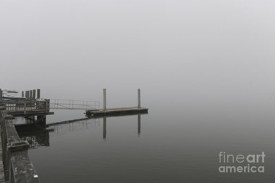 Into The Fog Photograph
