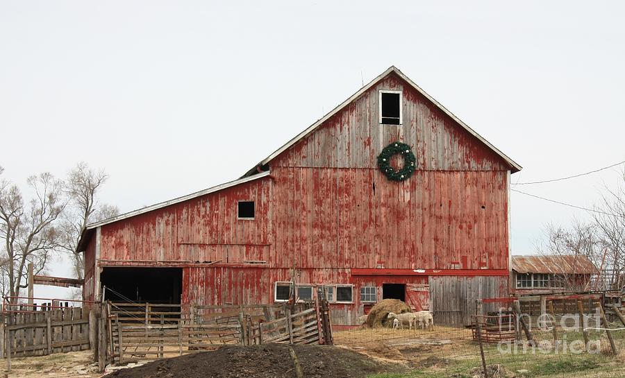 Iowa Barn #2 Photograph by Kathryn Cornett