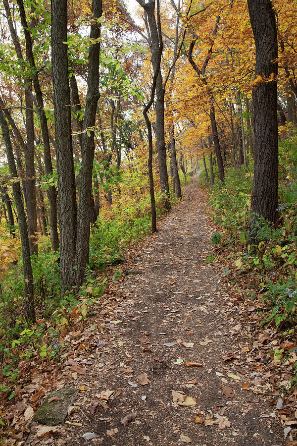 Fall Photograph - Iowa, Effigy Mounds National Monument #1 by Jamie and Judy Wild