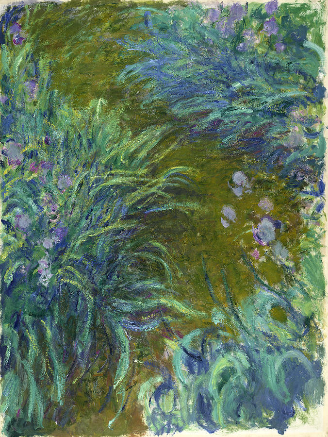 Irises #3 Painting by Claude Monet