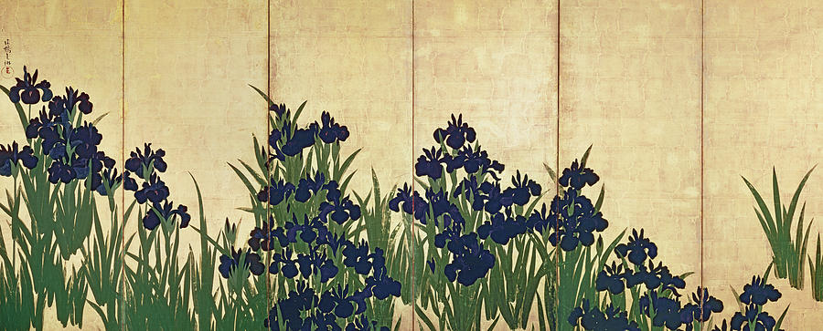 Irises Painting by Ogata Korin